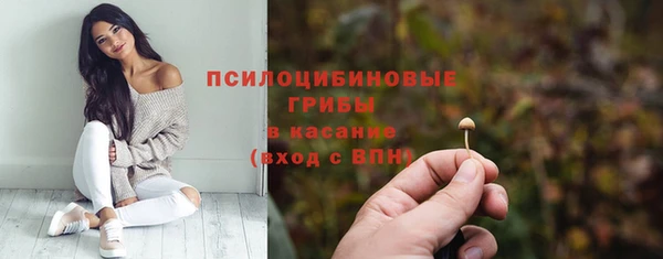дурь Снежногорск