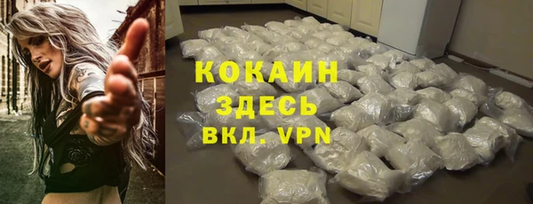 дурь Снежногорск